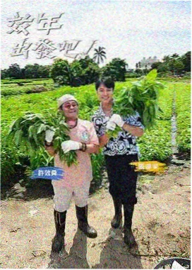 啦酷酷影视综艺观察格周四慢生活实验的市集清晨画面